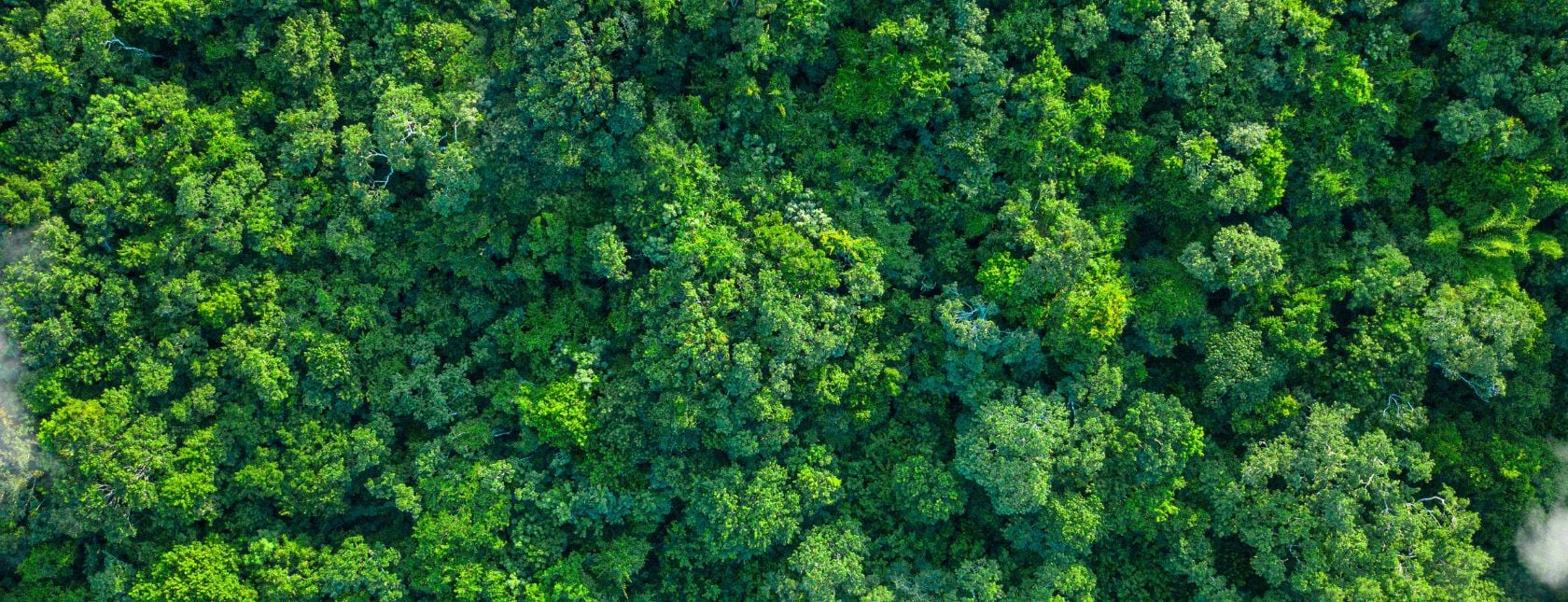 Dalla sostenibilità dichiarata ai risultati misurabili: pubblicata la nuova ISO 14001:2026
